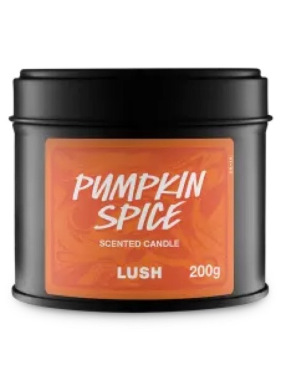 Lush Other - LUSH Pumpkin Spice Scented Candle